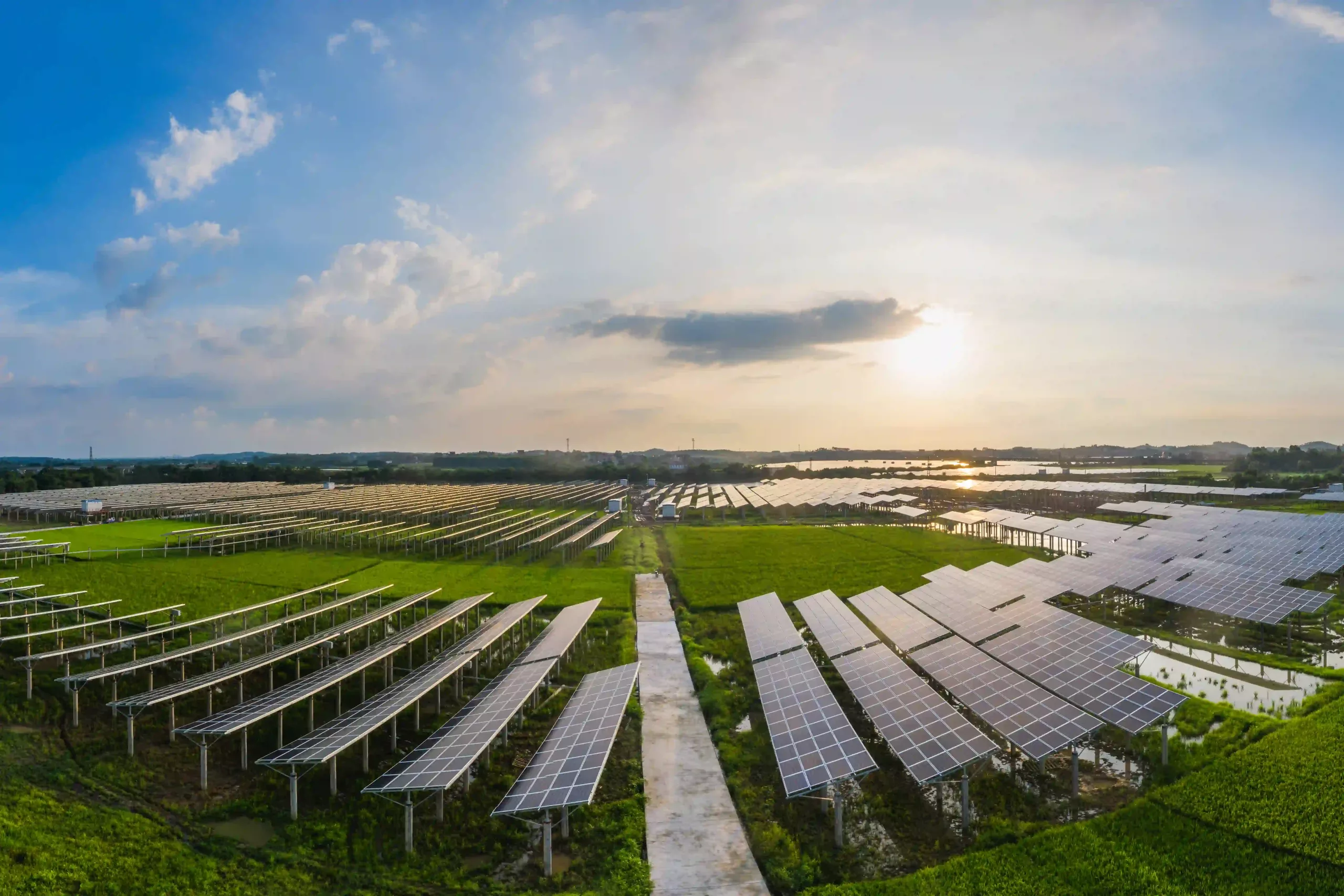 Solar Power Plants And Rice Fields At Dusk